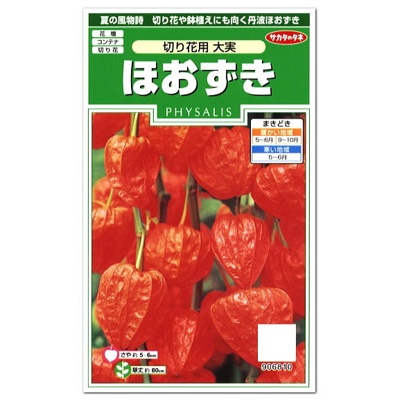 楽天市場 サカタのタネ ほおずき 切花用 大実 多年草 種 花壇 種子 たね ホオズキ ガーデニング ガーデニングと雑貨の菜園ライフ