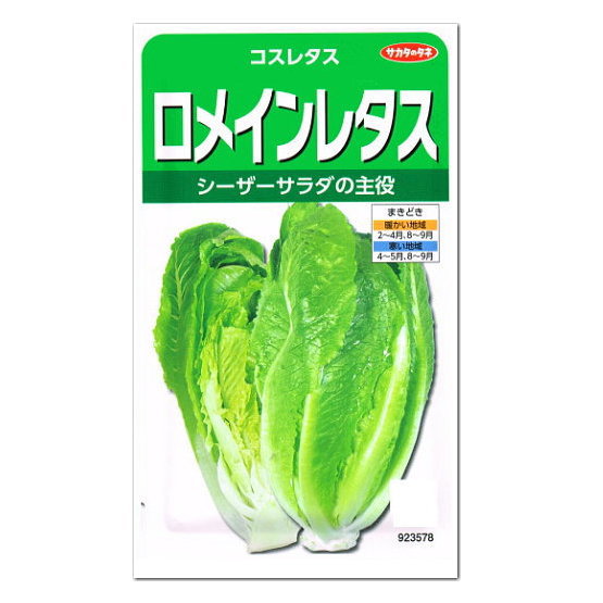 楽天市場 サカタのタネ ロメインレタス コスレタス 種 家庭菜園 タケノコレタスのタネ 野菜 たね ガーデニングと雑貨の菜園ライフ