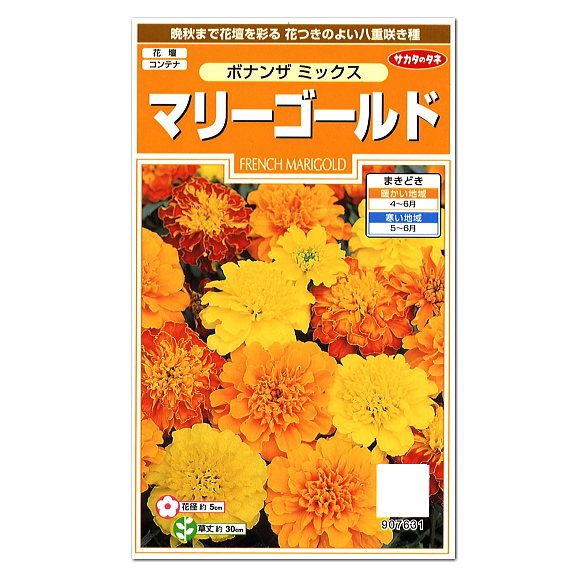 楽天市場 サカタのタネ マリーゴールド ボナンザミックス 種 花壇 プランター 寄せ植え 草花 たね 種子 コンパニオンプランツ ガーデニングと雑貨の菜園ライフ