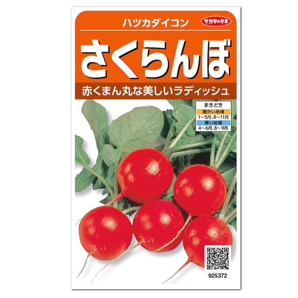 楽天市場 サカタのタネ はつか大根 さくらんぼ 種 プランター栽培もおすすめ 家庭菜園 ラディッシュ 野菜 たね 種子 二十日大根 ガーデニングと雑貨の菜園ライフ