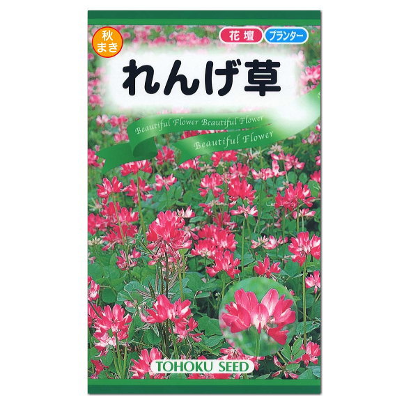 楽天市場 トーホク れんげ草 種 一年草 蓮華草 花壇 プランター たね ガーデニング 紫雲英 ゲンゲ ガーデニングと雑貨の菜園ライフ