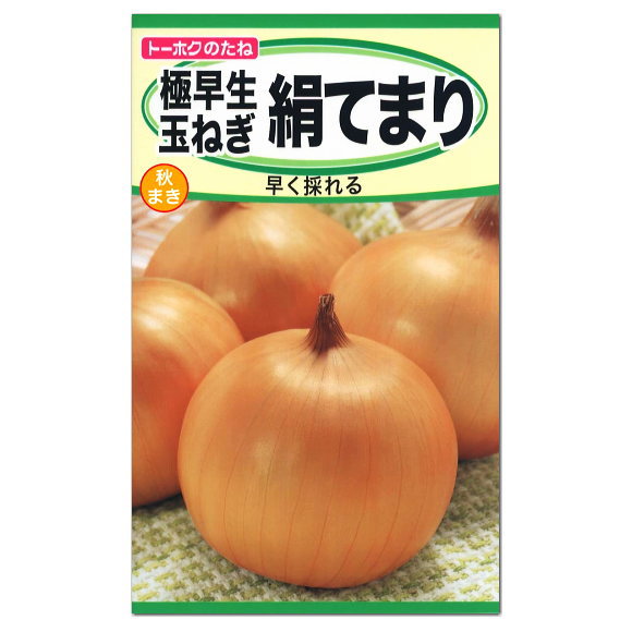 楽天市場 トーホク 極早生玉ねぎ 絹てまり 種 家庭菜園 玉葱 たまねぎ たね オニオン タマネギのタネ 種子 ガーデニングと雑貨の菜園ライフ