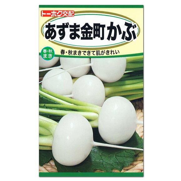 楽天市場 トーホク あずま金町かぶ 種 家庭菜園 プランター栽培 蕪 カブのタネ スズナ 野菜 かなまち かぶ たね ガーデニングと雑貨の菜園ライフ