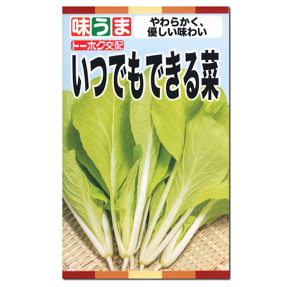 楽天市場 新製品 トーホク いつでもできる菜 山東菜 種 家庭菜園 プランター栽培 葉菜類 葉野菜 サントウサイ さんとうさいのタネ たね 種子 なっぱ はくさい菜 べかな ガーデニングと雑貨の菜園ライフ