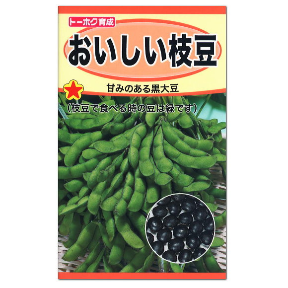 楽天市場 トーホク おいしい枝豆 種 生産地 北海道 えだまめ 家庭菜園 プランター栽培 エダマメのタネ たね 種子 夏野菜 ガーデニングと雑貨の菜園ライフ