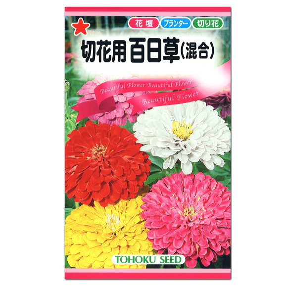 楽天市場 トーホク 切花用 百日草 混合 種 花壇 プランター 切花 たね 種子 ひゃくにちそう ガーデニング ガーデニングと雑貨の菜園ライフ