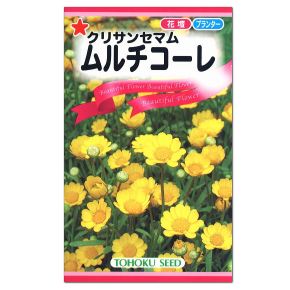 楽天市場 トーホク ムルチコーレ 種 花壇 プランター たね ガーデニング クリサンセマム ガーデニングと雑貨の菜園ライフ