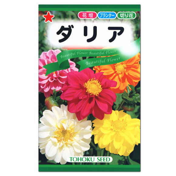 楽天市場 トーホク ダリア 種 花壇 プランター 切花 たね ガーデニング ガーデニングと雑貨の菜園ライフ