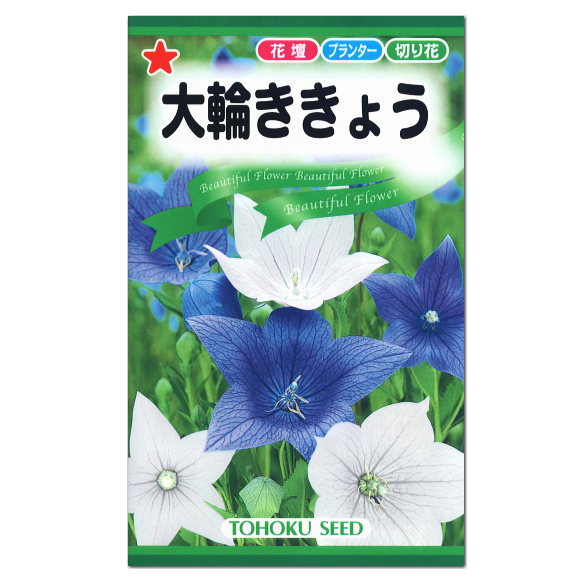 楽天市場 トーホク 大輪ききょう 種 花壇 プランター 切花 キキョウ 桔梗 たね バルーン フラワー ガーデニングと雑貨の菜園ライフ