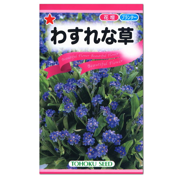 楽天市場 トーホク わすれな草 種 花壇 プランター たね 種子 ガーデニング ガーデニングと雑貨の菜園ライフ