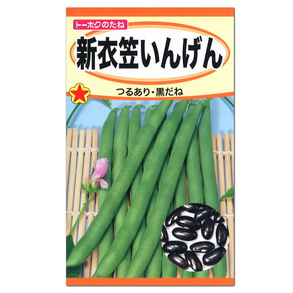 楽天市場 トーホク つるあり 新衣笠いんげん 種 家庭菜園 きぬがさ インゲンのタネ 緑のカーテン グリーンカーテン たね 種子 夏野菜 ガーデニングと雑貨の菜園ライフ