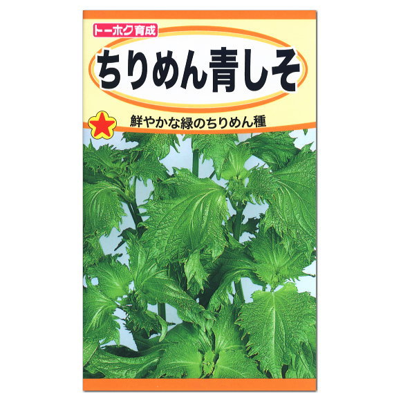 楽天市場 トーホク ちりめん青しそ 種 生産地 岩手県 紫蘇 シソのタネ 野菜 種子 たね 緑黄色野菜 青じそ 家庭菜園 ガーデニングと雑貨の菜園ライフ