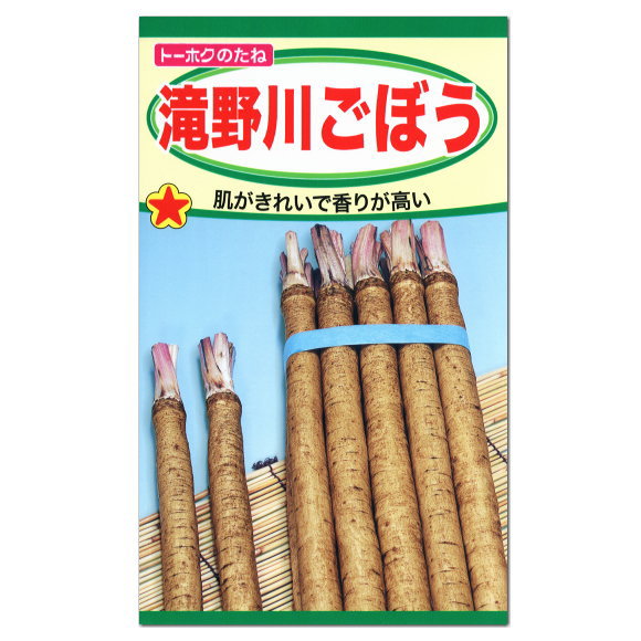 楽天市場 トーホク 滝野川ごぼう 種 生産地 岩手県 家庭菜園 たきのがわ ゴボウのタネ 野菜 たね 種子 ガーデニングと雑貨の菜園ライフ