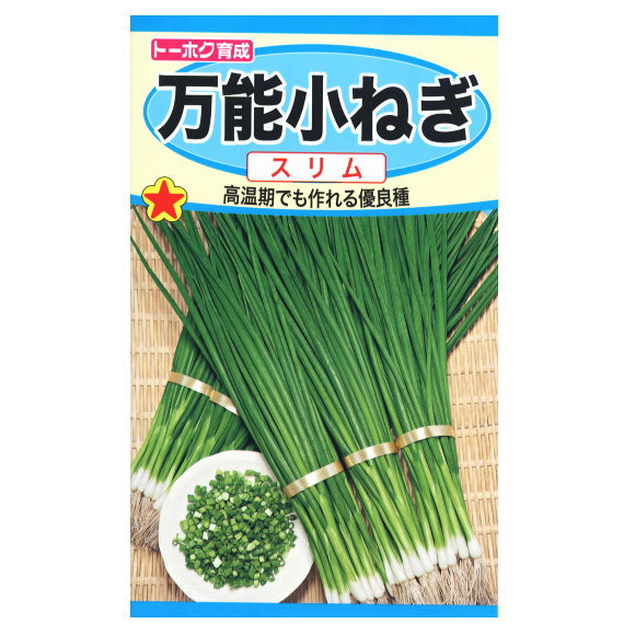 楽天市場 春まき用 トーホク 万能小ねぎ スリム 種 家庭菜園 プランター 薬味 栽培 ネギのタネ 野菜 たね 種子 ガーデニングと雑貨の菜園ライフ