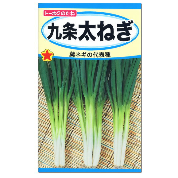 楽天市場 トーホク 九条太ねぎ 種 葉ねぎ 家庭菜園 野菜 葉ねぎ ネギのタネ 葱 野菜 くじょう たね 種子 ガーデニングと雑貨の菜園ライフ