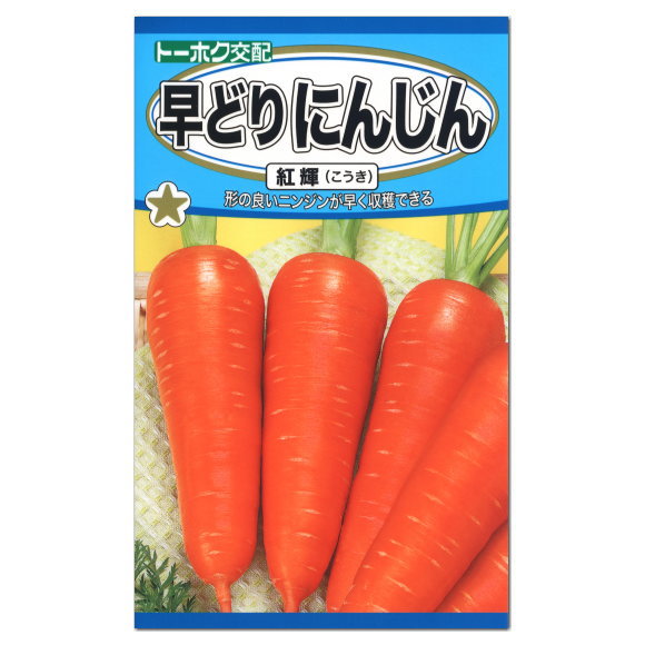 楽天市場 トーホク 早どりにんじん 紅輝 こうき 種 家庭菜園 人参 キャロット 西洋種 ニンジンのタネ 野菜 たね ガーデニングと雑貨の菜園 ライフ