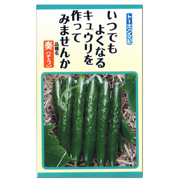 楽天市場 トーホク いつでもよくなるキュウリを作ってみませんか 品種名 奏 そう 種 枝成型 家庭菜園 胡瓜 きゅうりのタネ たね 種子 夏野菜 ガーデニングと雑貨の菜園ライフ