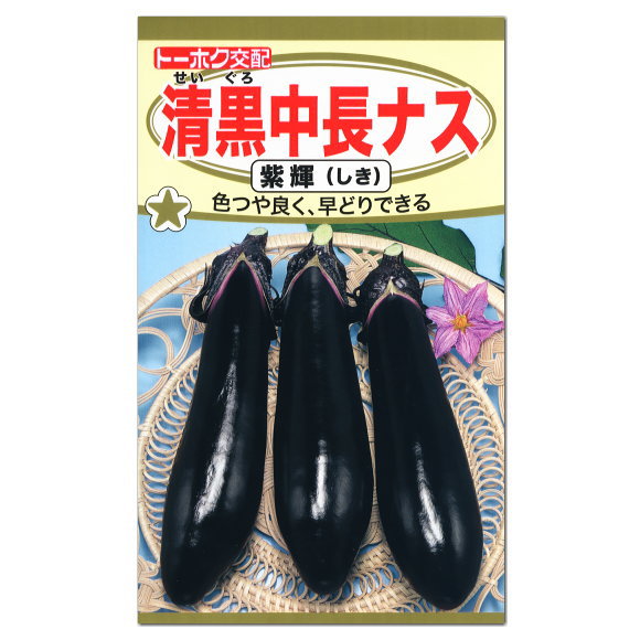 楽天市場 トーホク 清黒中長ナス 紫輝 しき 種 家庭菜園 プランター栽培可 茄子 なす ナスのタネ たね 種子 夏野菜 ガーデニングと雑貨の菜園ライフ