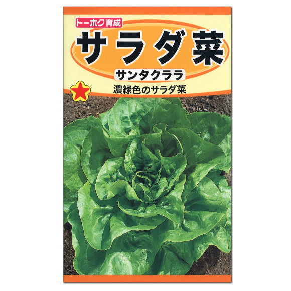 楽天市場 トーホク サラダ菜 サンタクララ 種 レタス 家庭菜園 玉チシャ プランター栽培 レタスのタネ 緑黄色野菜 たね ガーデニングと雑貨の菜園 ライフ