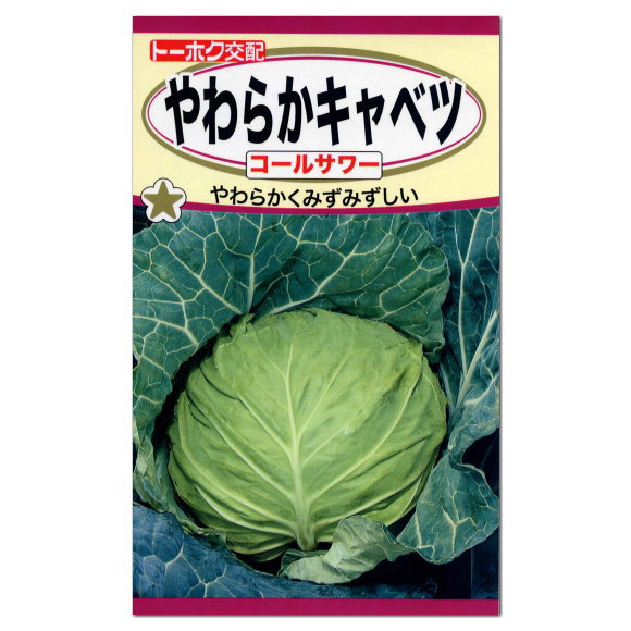 楽天市場 トーホク やわらかキャベツ コールサワー 種 家庭菜園 きゃべつ たね 種子 野菜 キャベツのタネ ガーデニングと雑貨の菜園ライフ