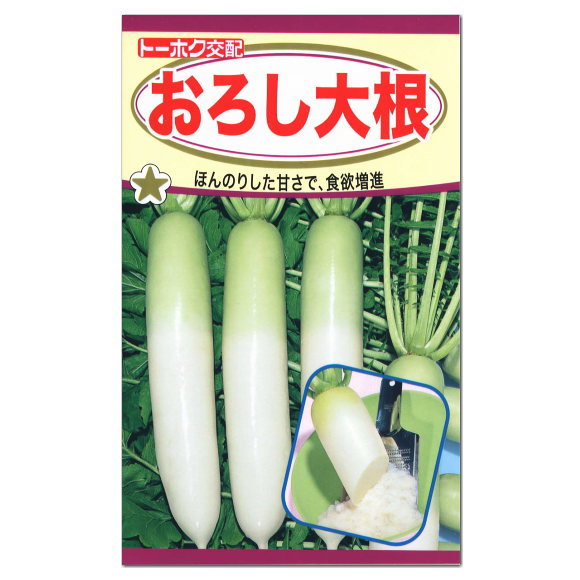 楽天市場 トーホク おろし大根 種 家庭菜園 だいこん たね ダイコンのタネ 野菜 ガーデニングと雑貨の菜園ライフ