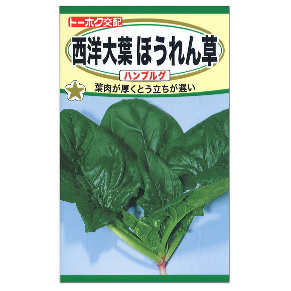 楽天市場 トーホク 西洋大葉ほうれん草 ハンブルグ 種 家庭菜園 プランター栽培 ほうれんそう たね ホウレンソウのタネ 野菜 ガーデニングと雑貨の菜園ライフ