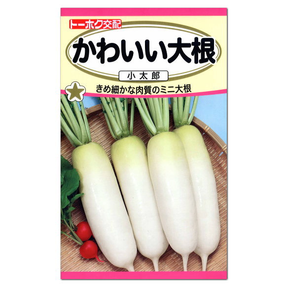 楽天市場 大人気 トーホク かわいい大根 小太郎 種 家庭菜園 プランター栽培 だいこん たね 野菜 ダイコンのタネ ガーデニングと雑貨の菜園ライフ