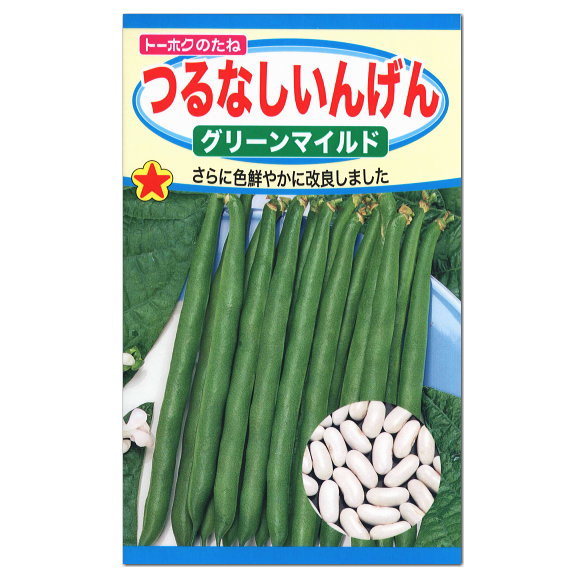 楽天市場 トーホク つるなし いんげんグリーンマイルド 種 家庭菜園 プランター栽培 インゲンのタネ たね 種子 夏野菜 ガーデニングと雑貨の菜園 ライフ