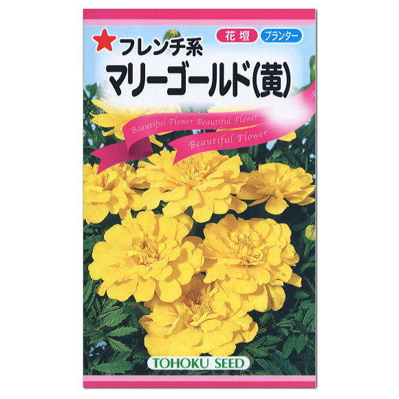 楽天市場 トーホク フレンチ系 マリーゴールド 黄 種 花壇 プランター 寄せ植え 草花 たね コンパニオンプランツ ガーデニング ガーデニングと雑貨の菜園ライフ