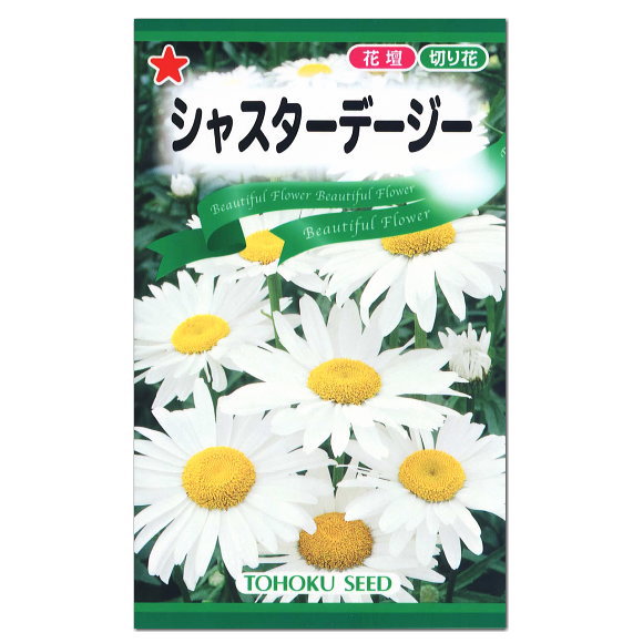 楽天市場 大人気 トーホク シャスターデージー 種 多年草 花壇 切花 たね ガーデニング テージ ガーデニングと雑貨の菜園ライフ