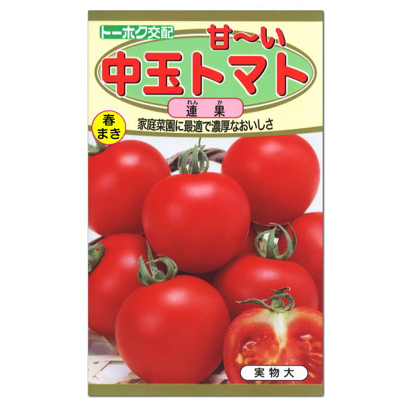 楽天市場 トーホク 甘 い中玉トマト 連果 種 家庭菜園 プランター栽培 とまとのタネ たね 種子 夏野菜 ガーデニングと雑貨の菜園ライフ