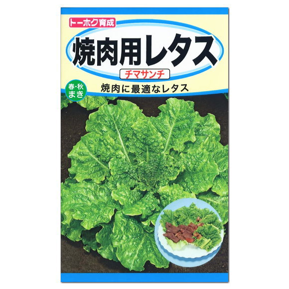 楽天市場 トーホク 焼肉用レタス チマサンチ 種 家庭菜園 カキチシャ レタスのタネ 野菜 たね ガーデニングと雑貨の菜園ライフ