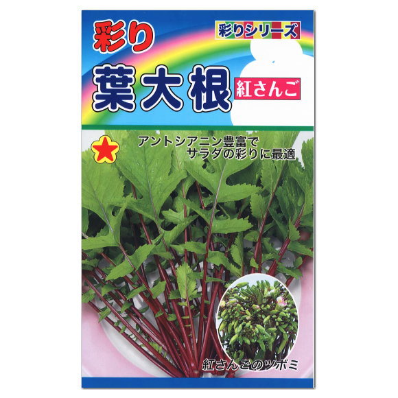 楽天市場 トーホク 彩り葉大根 紅さんご 種 プランター栽培もできます 家庭菜園 簡単 野菜 たね 種子 葉だいこん のタネ ガーデニングと雑貨の菜園ライフ