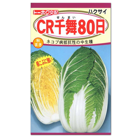 楽天市場 トーホク Cr千舞８０日 白菜 種 家庭菜園 白菜 はくさい ハクサイのタネ たね 種子 ガーデニングと雑貨の菜園ライフ