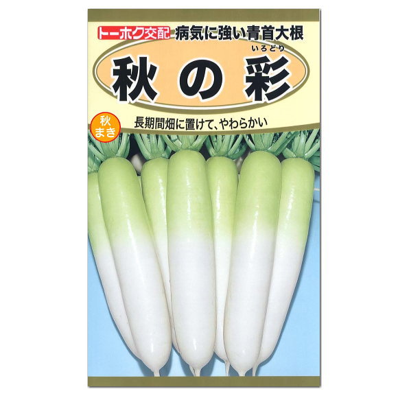 楽天市場 トーホク 青首大根 秋の彩 種 家庭菜園 だいこん たね 種子 ダイコンのタネ 野菜 ガーデニングと雑貨の菜園ライフ