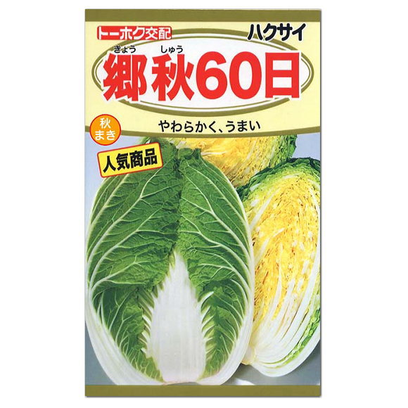 楽天市場 トーホク 郷秋６０日 白菜 種 家庭菜園 白菜 はくさい ハクサイのタネ たね 種子 ガーデニングと雑貨の菜園ライフ