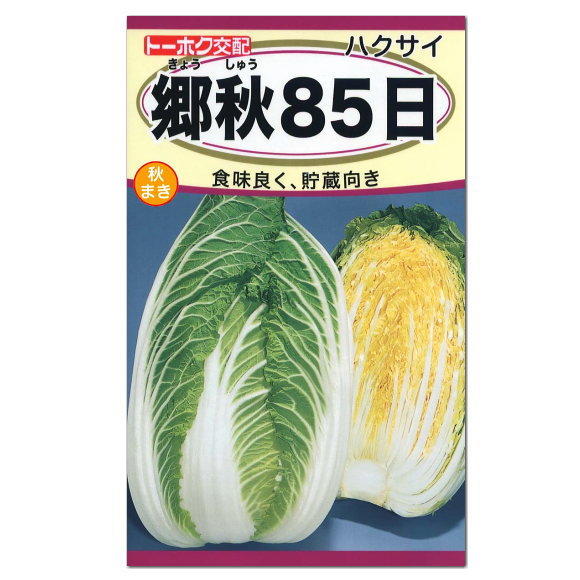 楽天市場 トーホク 郷秋８５日 白菜 種 家庭菜園 白菜 はくさい ハクサイのタネ たね 種子 ガーデニングと雑貨の菜園ライフ