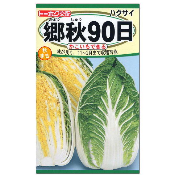 楽天市場 トーホク 郷秋９０日 白菜 種 家庭菜園 白菜 はくさい ハクサイのタネ たね 種子 ガーデニングと雑貨の菜園ライフ