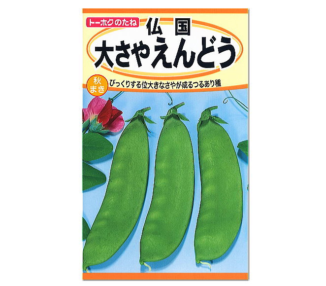 楽天市場 トーホク 仏国大さやえんどう 種 秋まき キヌサヤ きぬさや さやえんどう 大型 家庭菜園 野菜 たね 種子 エンドウ のタネ ガーデニングと雑貨の菜園ライフ