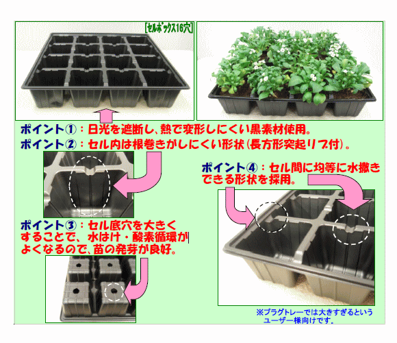 市場 セルボックス 野菜 セルトレー 25穴 セルトレイ 黒 10枚セット 花のタネまき 育苗に