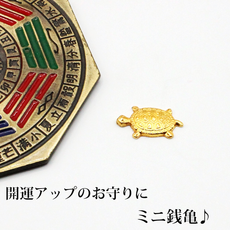 楽天市場】金銭亀 金運招福 金亀 きんかめ 開運 幸運 財運 財産