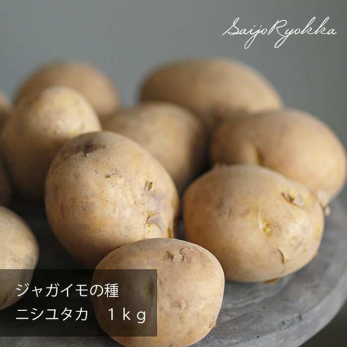 楽天市場】7年産 出島 1kg じゃがいも 種芋 サイズSML 広島県
