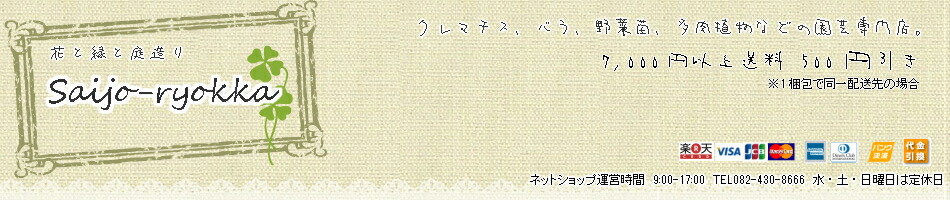 クレマチス 野菜苗 さいじょう緑花:バラ苗 野菜苗 クレマチス苗の専門店
