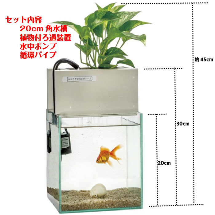 楽天市場 送料無料 水替え不要水槽 ビオアクア 25cm型 15l 基本水槽と照明 スチールカバーセット 金魚や熱帯魚の水槽にピッタリ 観葉植物 が水をキレイにします 西条庭園