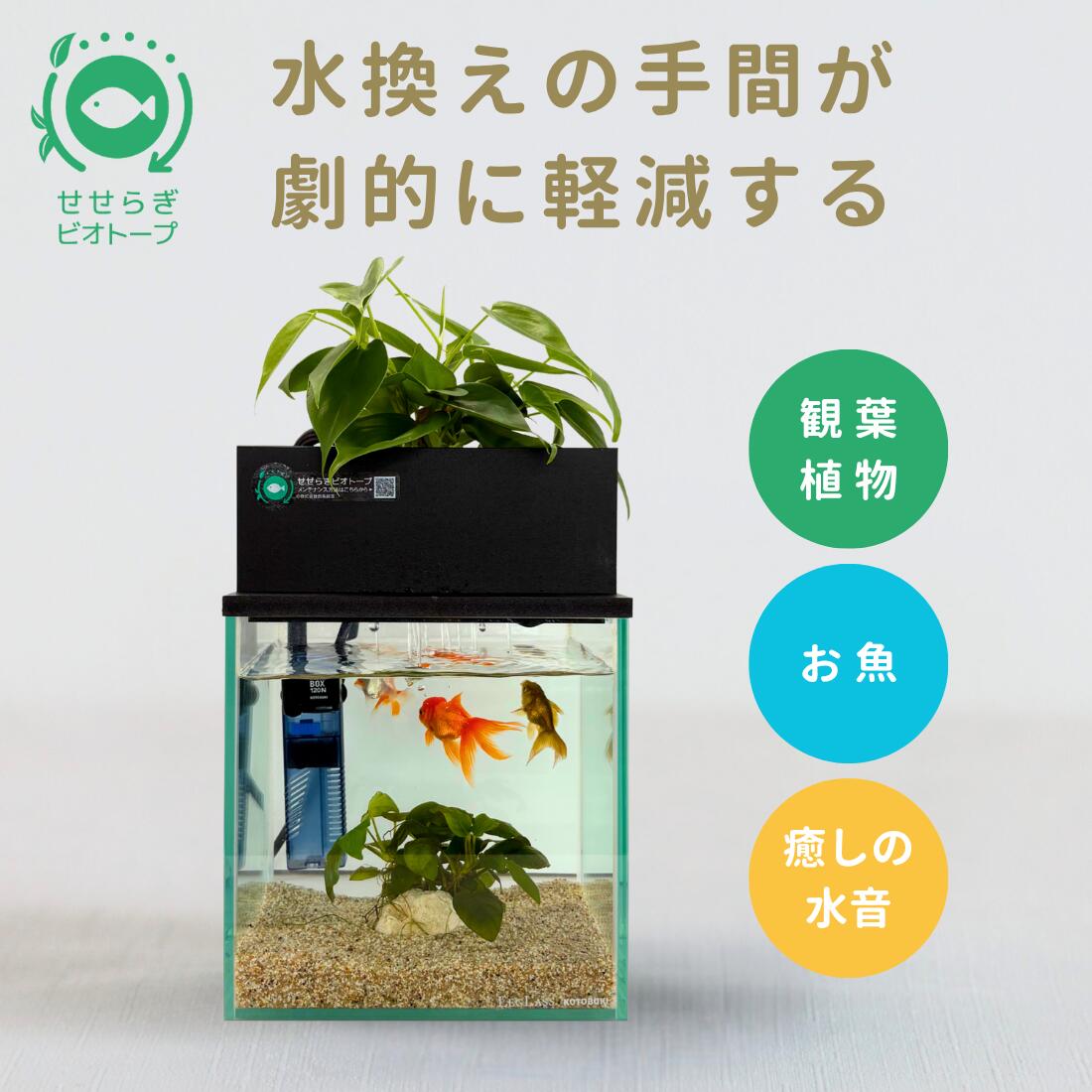ジェックス ガラス マリーナ600BKS デュアルクリーンセット サカナ用 楽天市場】GEX マリーナ600BKSデュアルクリーンセット