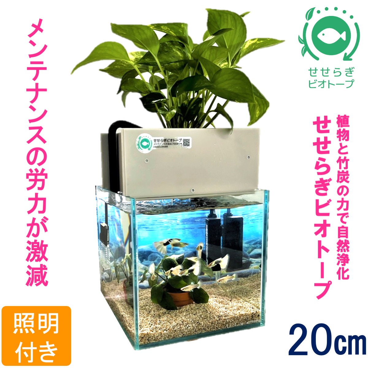 せせらぎビオトープ ろ過器単体ポンプセット+ ADA20cmキューブ 楽天市場】【TVで紹介されました】 水槽はつきません ろ過器のみ
