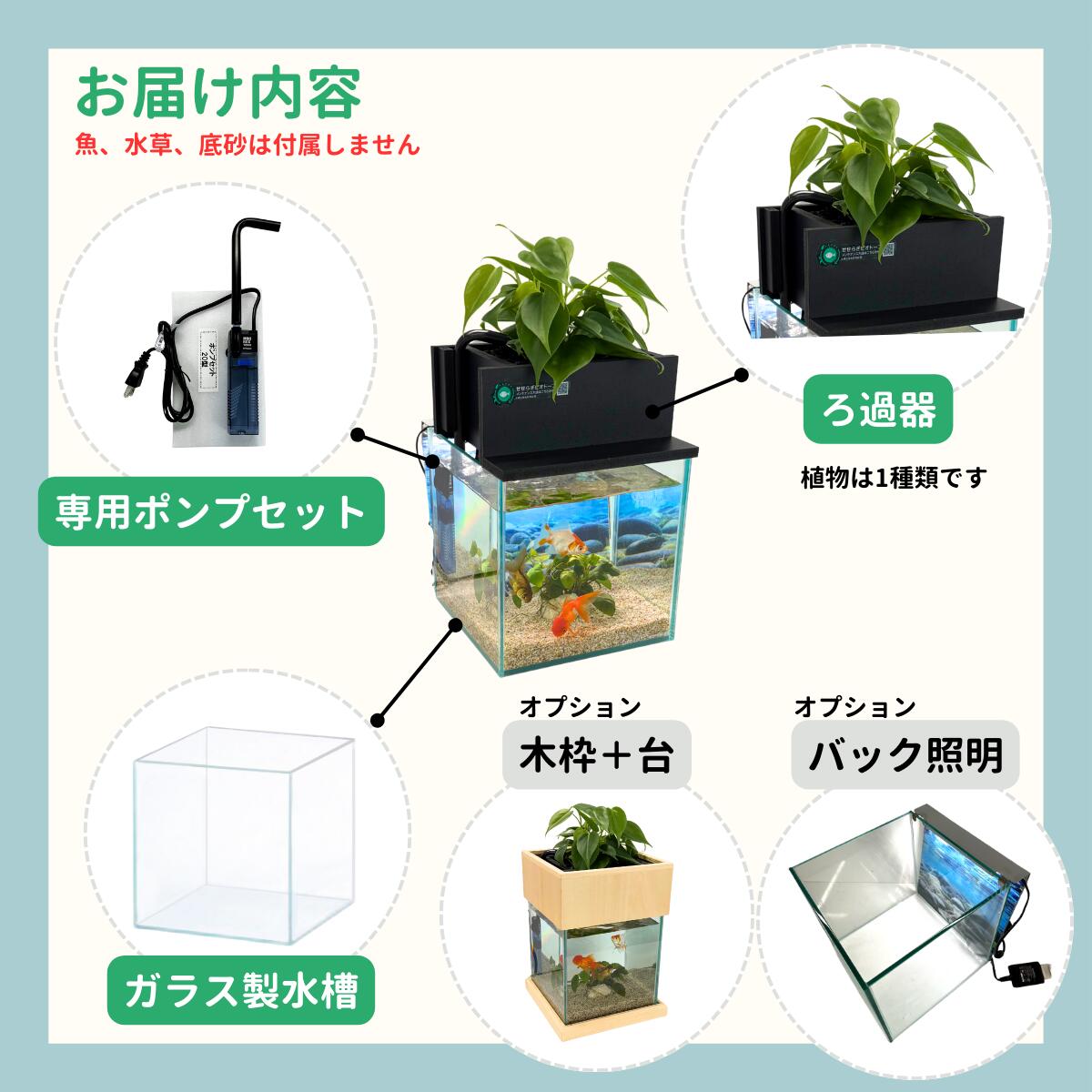 TVで紹介されました】水換え不要 水槽セット せせらぎビオトープ 約7L 