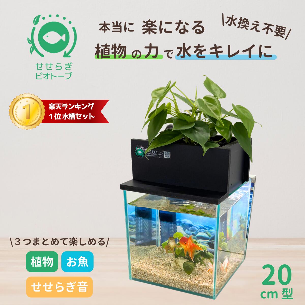 GEX AQUA-U (アクアユー)オールインワン水槽セット　希少ブラック GEX AQUA-U オールインワンの水槽セット 楽天市場】GEX AQUA-U