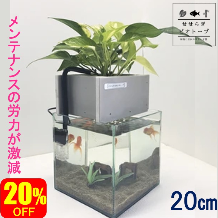 Off その他 更にポイント10倍 基本水槽セット cm インテリア 8l 水槽 8l フィルター ポンプ 水替え不要 金魚 メダカ 熱帯魚 水替え 観葉植物 ポトス 癒やし インテリア 西条庭園 せせらぎビオトープ コトブキ工芸 クリスタルキューブ0 西条庭園面倒な水替え作業