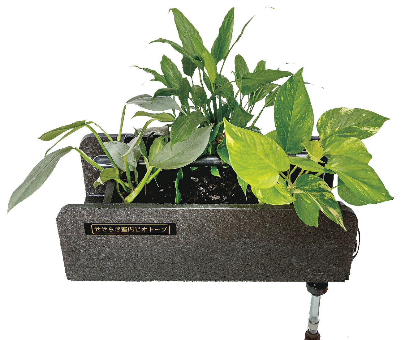新品数量限定セール いやし効果の高いせせらぎの水音と観葉植物でインテリアにピッタリ おしゃれ 金魚 西条庭園 水槽 ポンプ ろ過器単体ポンプセット せせらぎビオトープ 西条庭園お手持ちの45cm水槽が 水替え不要の水槽に大変身 インテリア 西条庭園 45cm